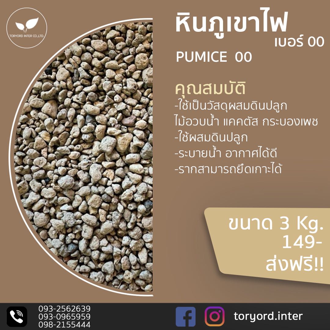 หินภูเขาไฟ เบอร์00