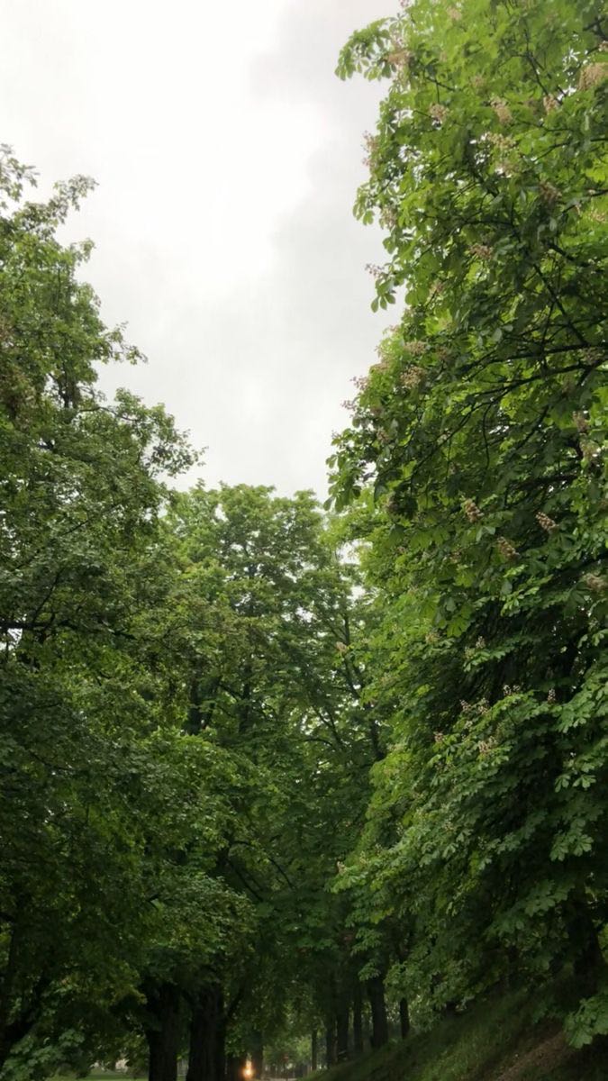 An Image