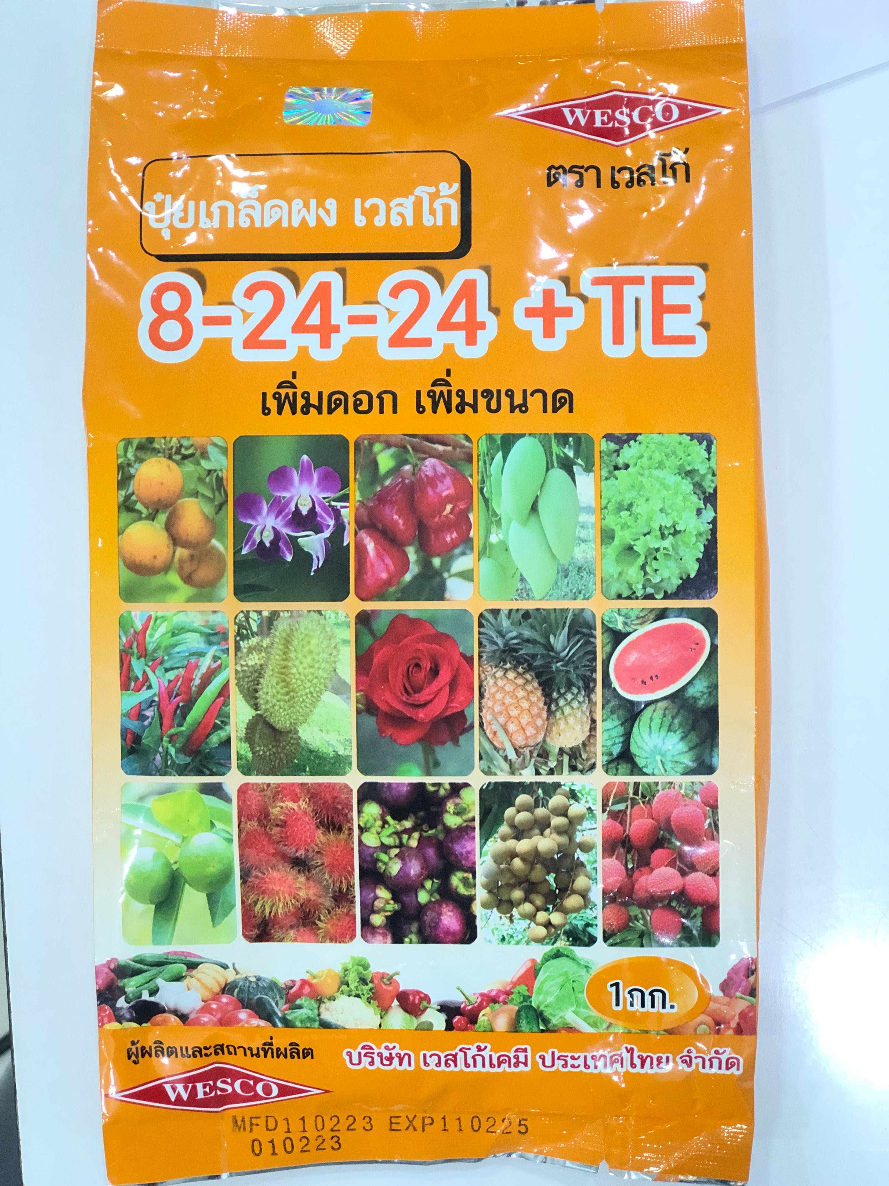 8-24-24+TE เวสโก้
