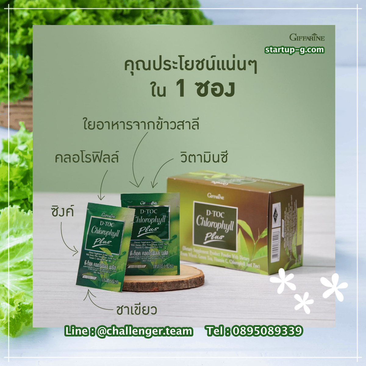 ดีท๊อค คลอโรฟิลล์ พลัส เติมคลอโรฟิลล์พร้อมใยอาหารให้ร่างกาย ด้วย D-Toc Chlorophyll Plus