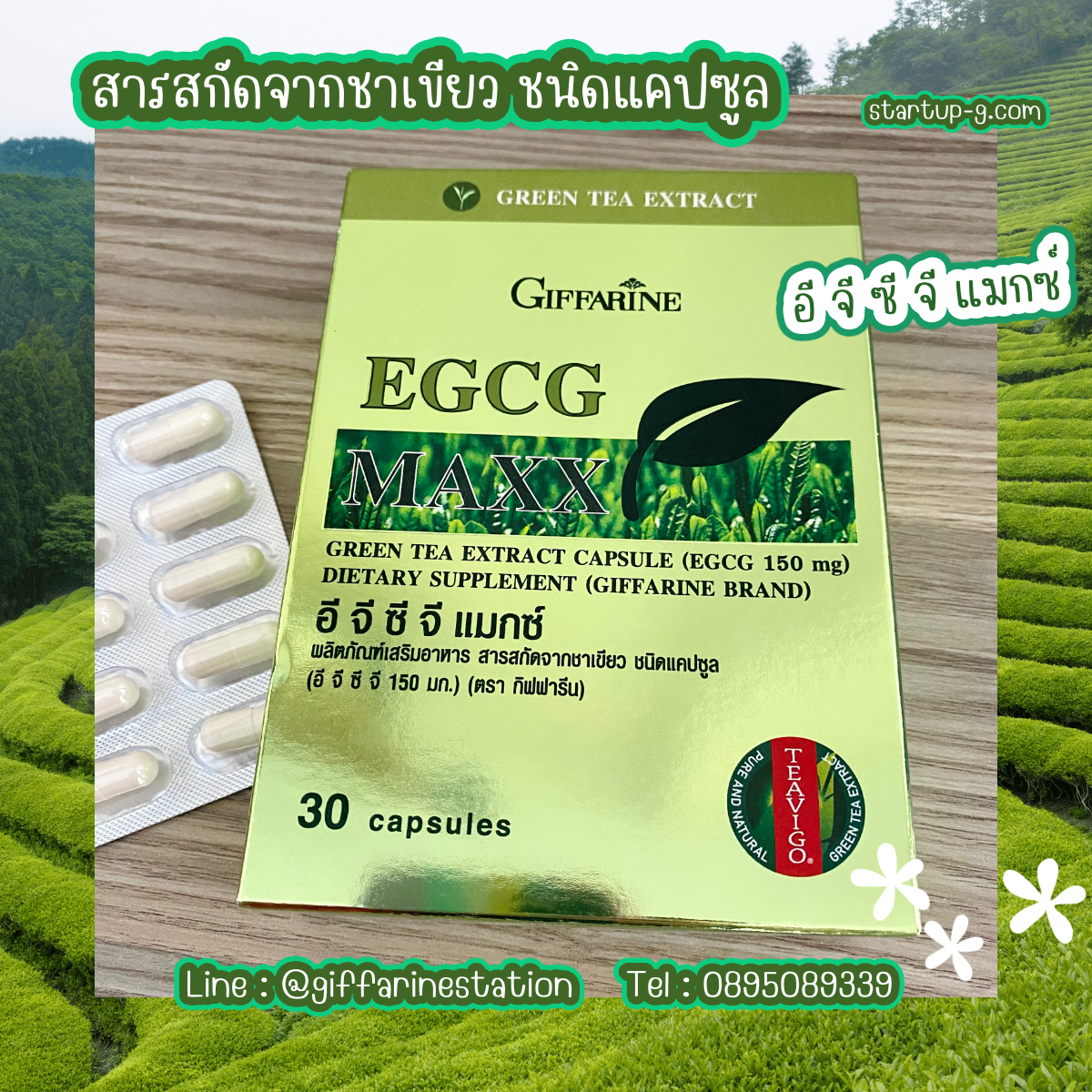 🌿 อี จี ซี จี แมกซ์สารสกัดจากชาเขียว ชนิดแคปซูล 🌿