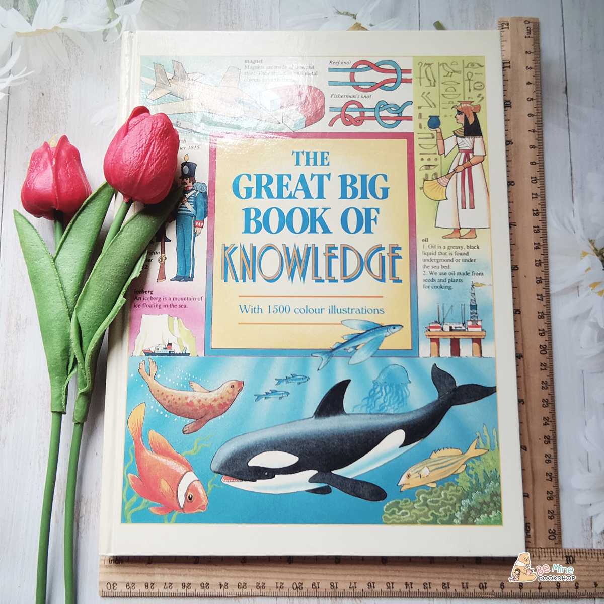 สารานุกรมและพจนานุกรม ║The Great Big Book of Knowledge║★มือสอง ★ปกแข็ง