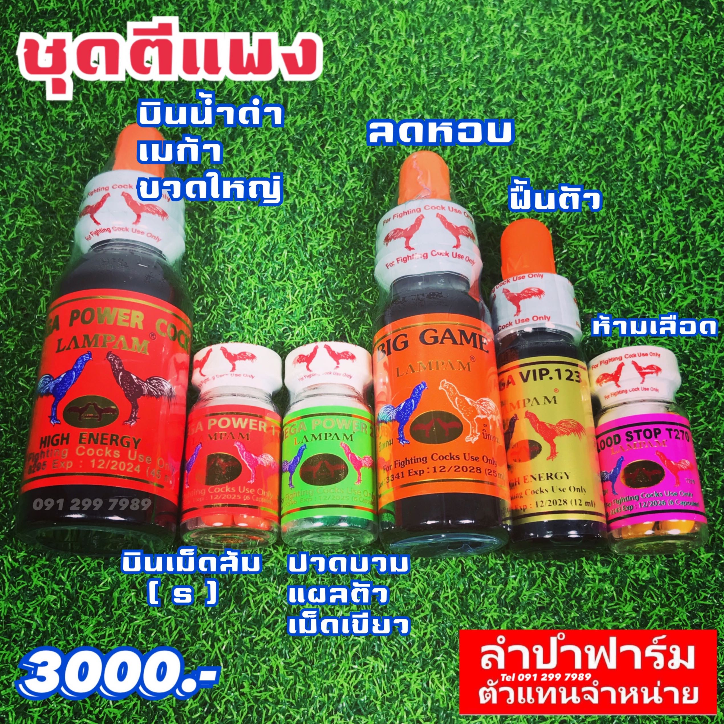 ชุดตีแพง 3000