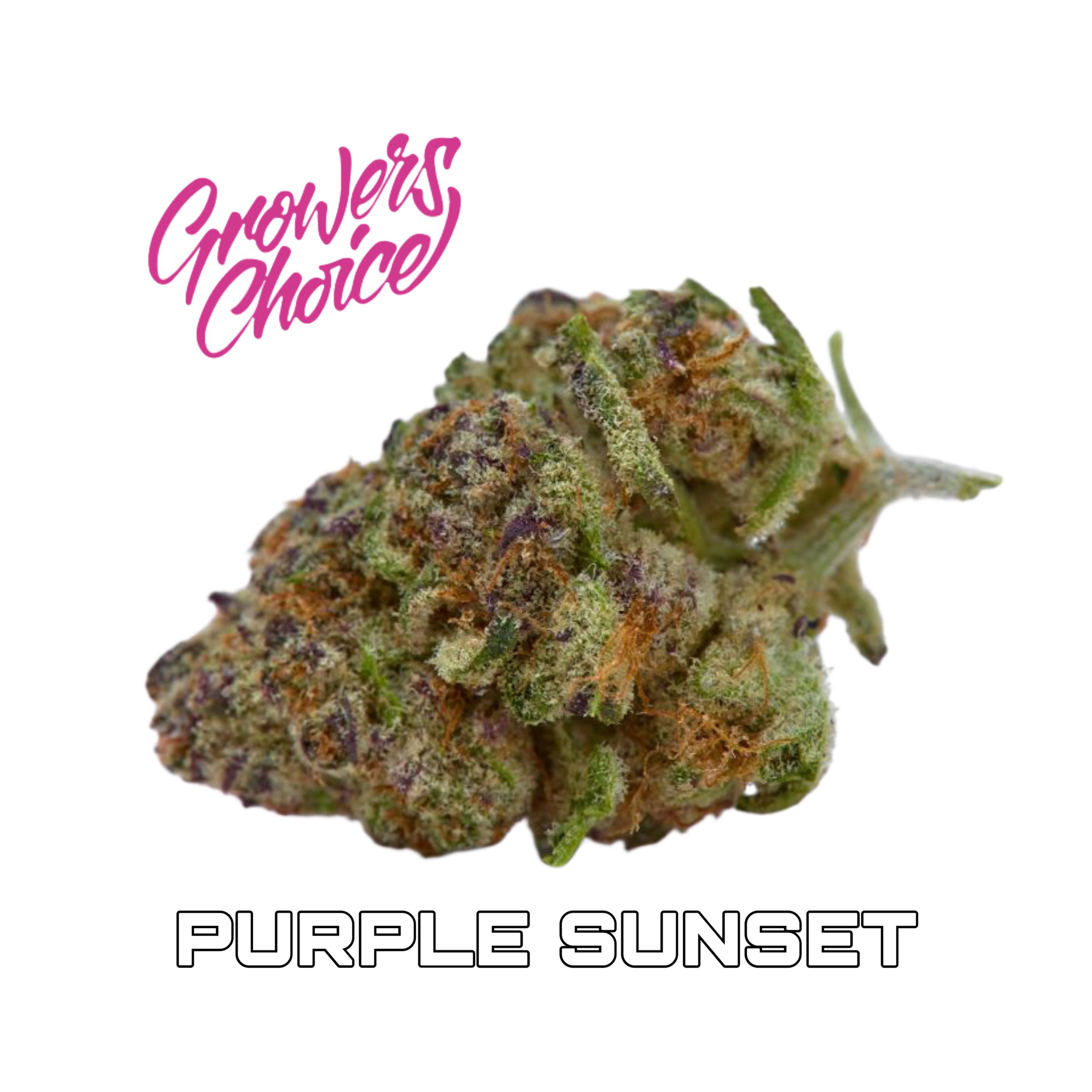 เมล็ด Purple Sunset (โฟโต้)