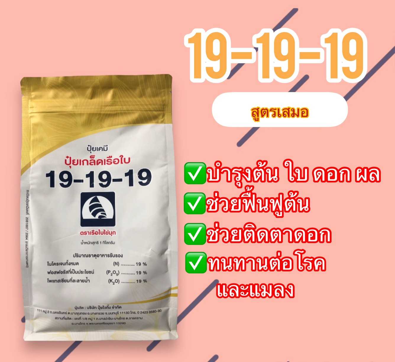 19-19-19 เรือใบ
