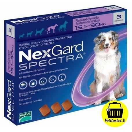 Nexgard Spectra (สีม่วง) 15-30 kg. กำจัดเห็บหมัด หนอนหัวใจ ขี้เรื้อน สำหรับสุนัข