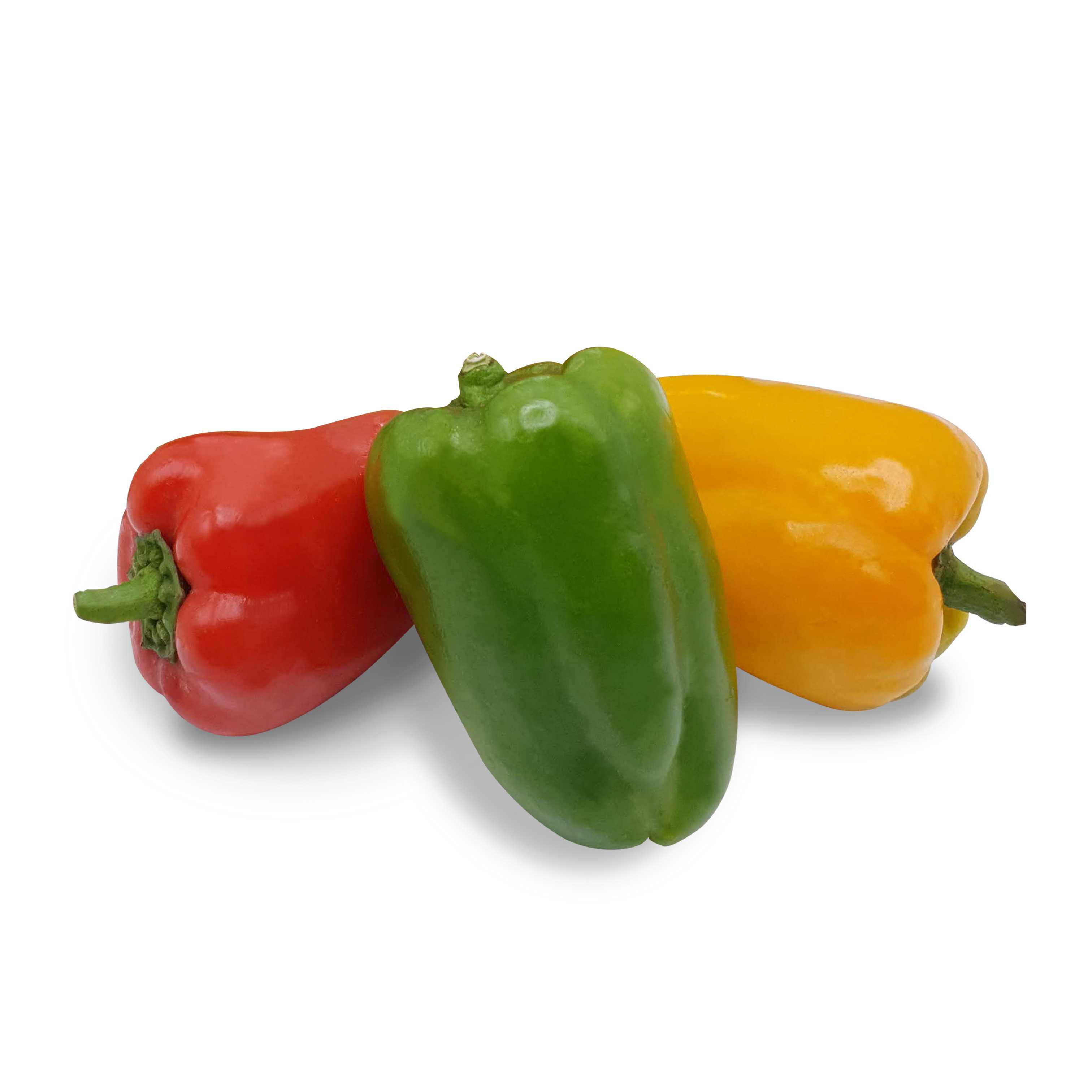 พริกหวานออร่าคละสี (Mixed aura sweet pepper)