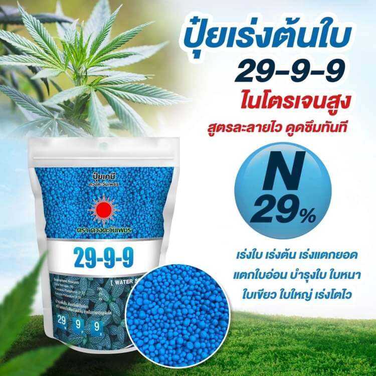 29-9-9 ดวงตะวันเพชร