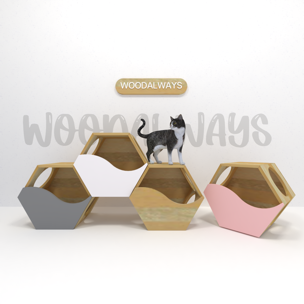 กล่องแมว CATBOX-09 (กล่องหกเหลี่ยม)