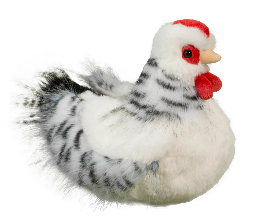 Douglas SALTY BLK & WHT HEN - CT1792 - ตุ๊กตาแม่ไก่ สีขาว-ดำ ซอลตี้ ขนาด 9 นิ้ว