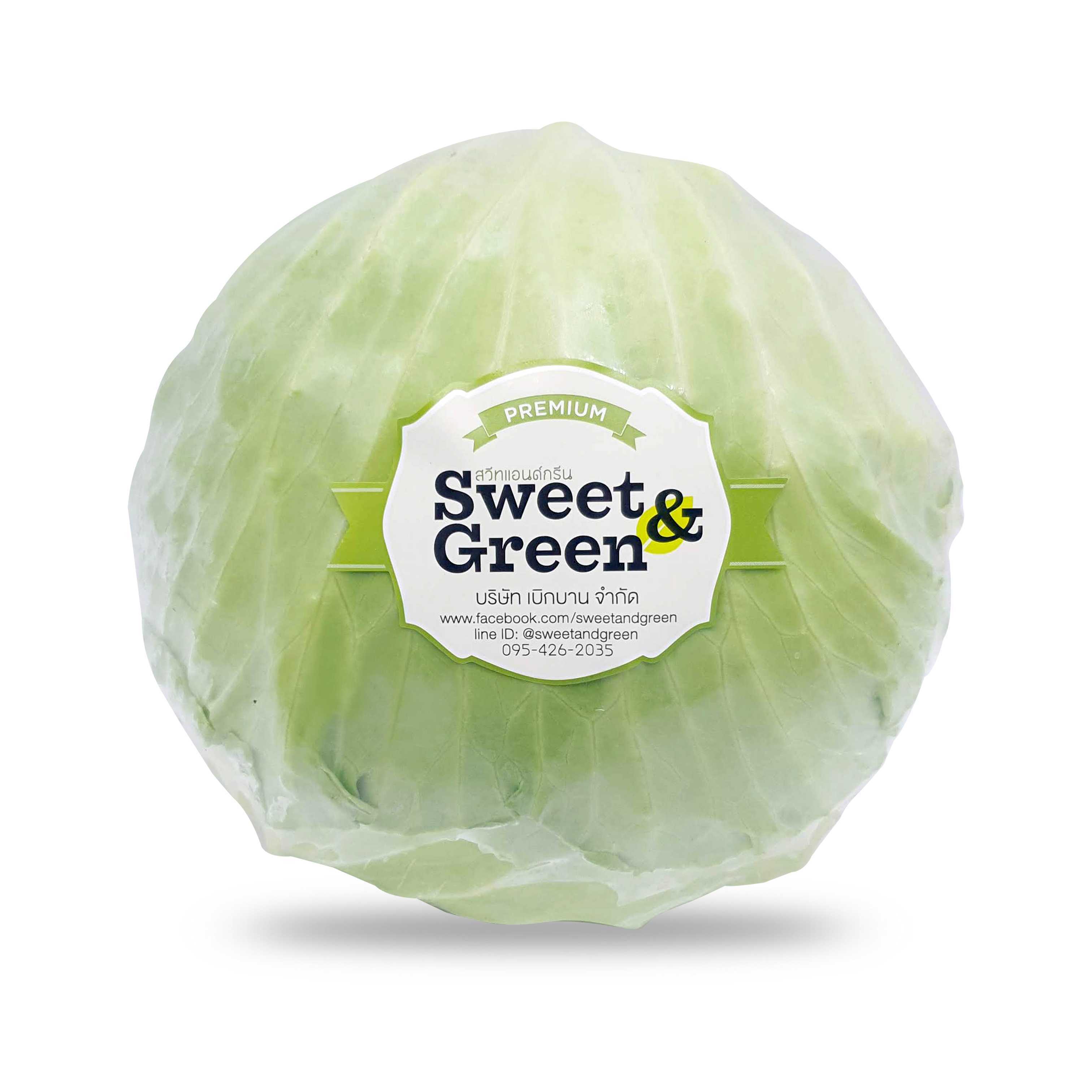 Cabbage (กะหล่ำปลี) ขนาดกลาง 150 บาท/กก