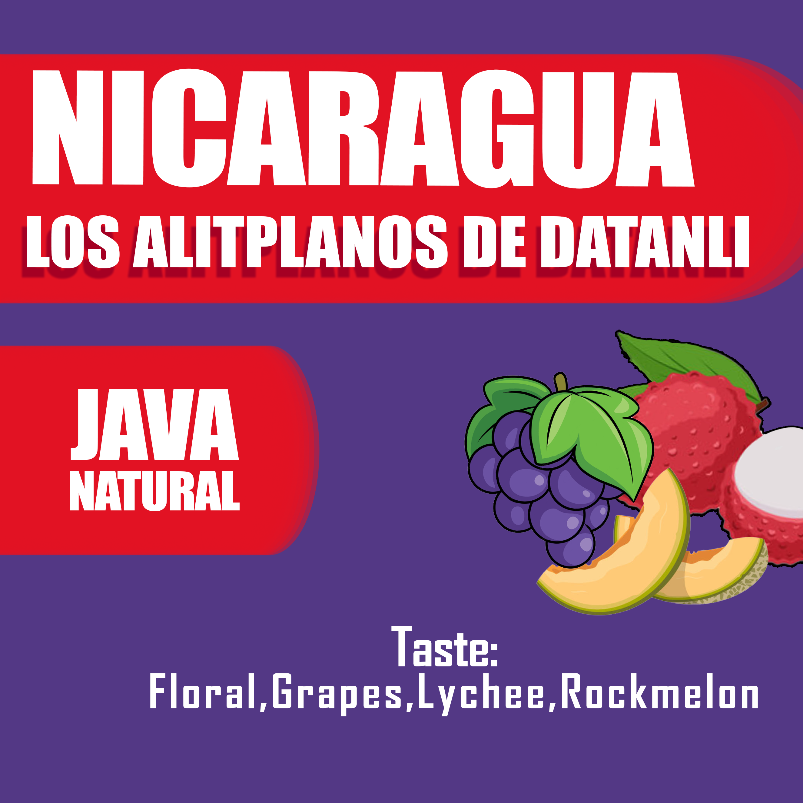 Nicaragua - LOS ALITPLANOS DE DATANLI (Single Origin)