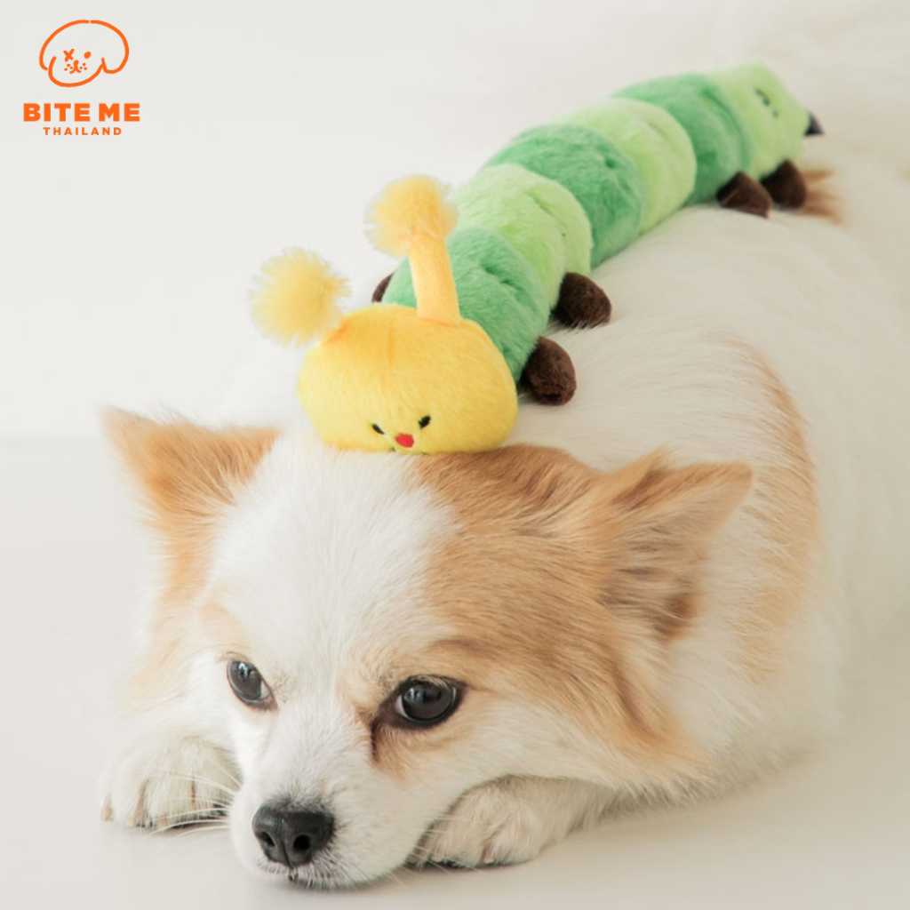 Bite Me Worm Tug Toy เจ้าตัวหนอน ของเล่นสำหรับสุนัข นำเข้าจากประเทศเกาหลี🇰🇷