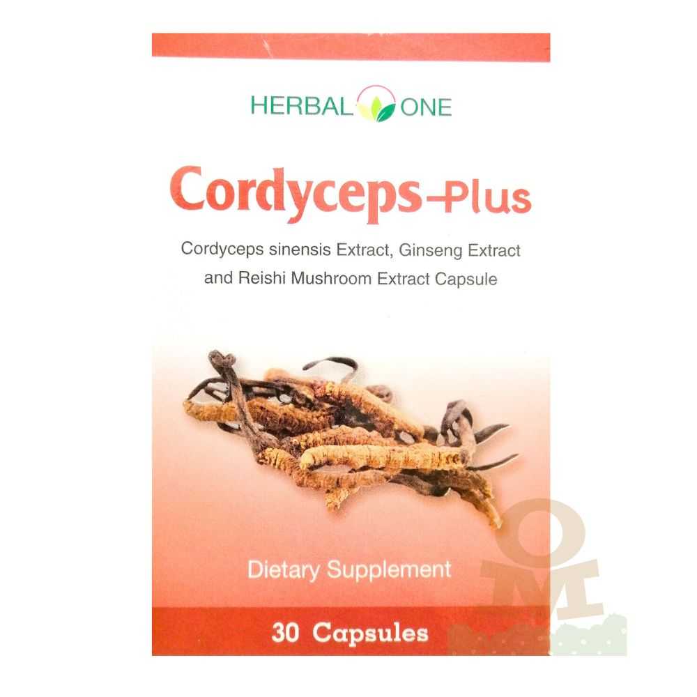 ตังถั่งเฉ้าพลัส Cordyceps Plus