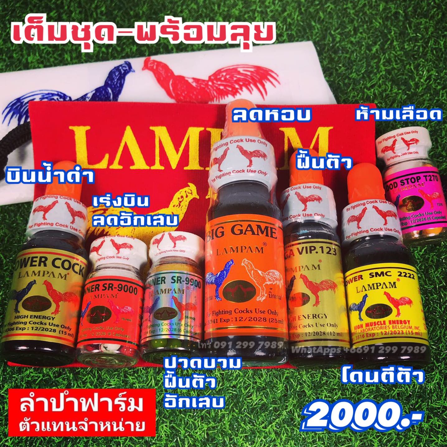 เต็มชุดพร้อมลุย 3