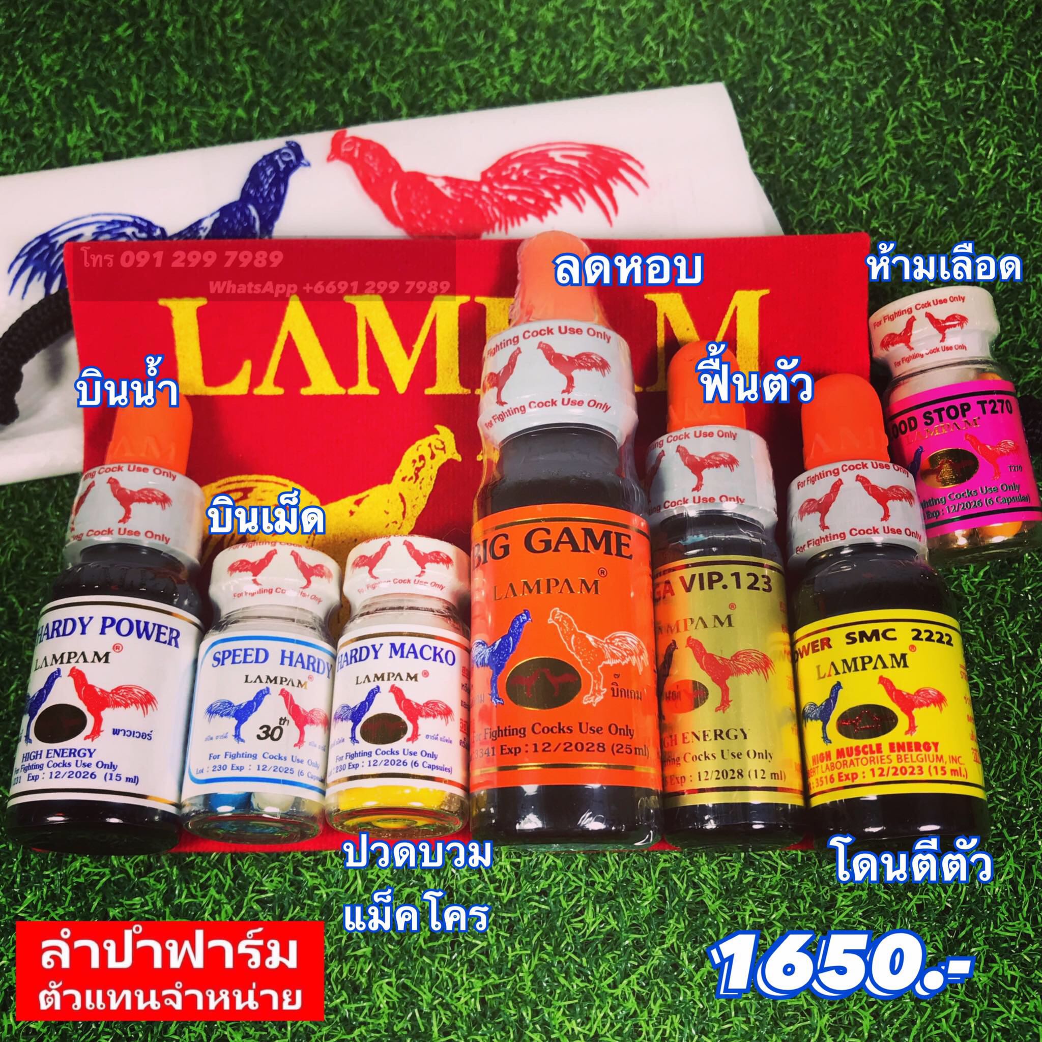 เต็มชุดพร้อมลุย 2