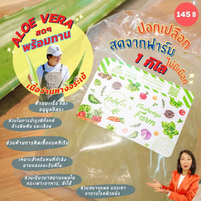 🥦 ว่านหางจระเข้ (ปอกเปลือก) ออร์แกนิค พันธุ์บาร์บาเดนซิส 1 kg.