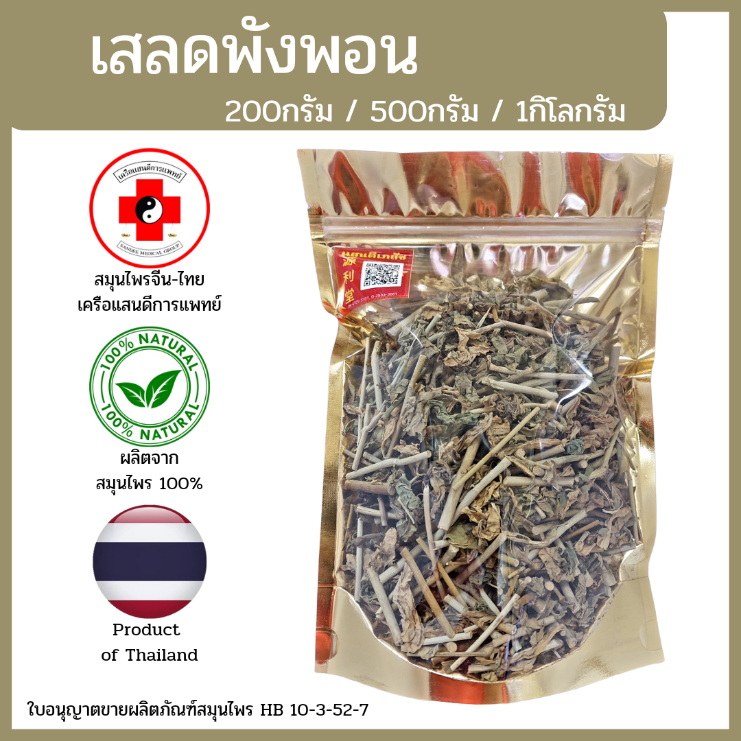 [แสนดีเภสัช] สมุนไพร เสลดพังพอน อย่างดี