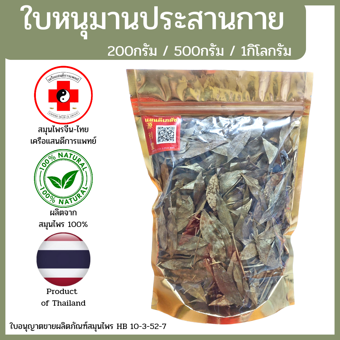 [แสนดีเภสัช] สมุนไพร ใบหนุมานประสานกาย อย่างดี