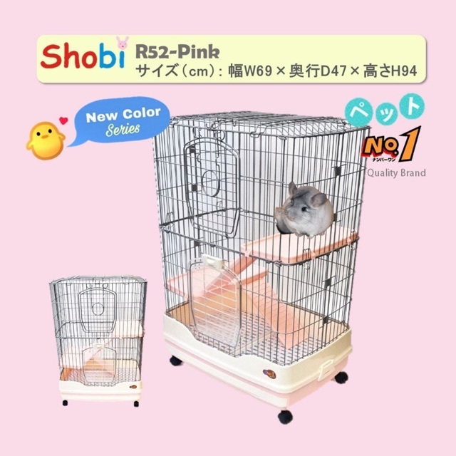 An Image
