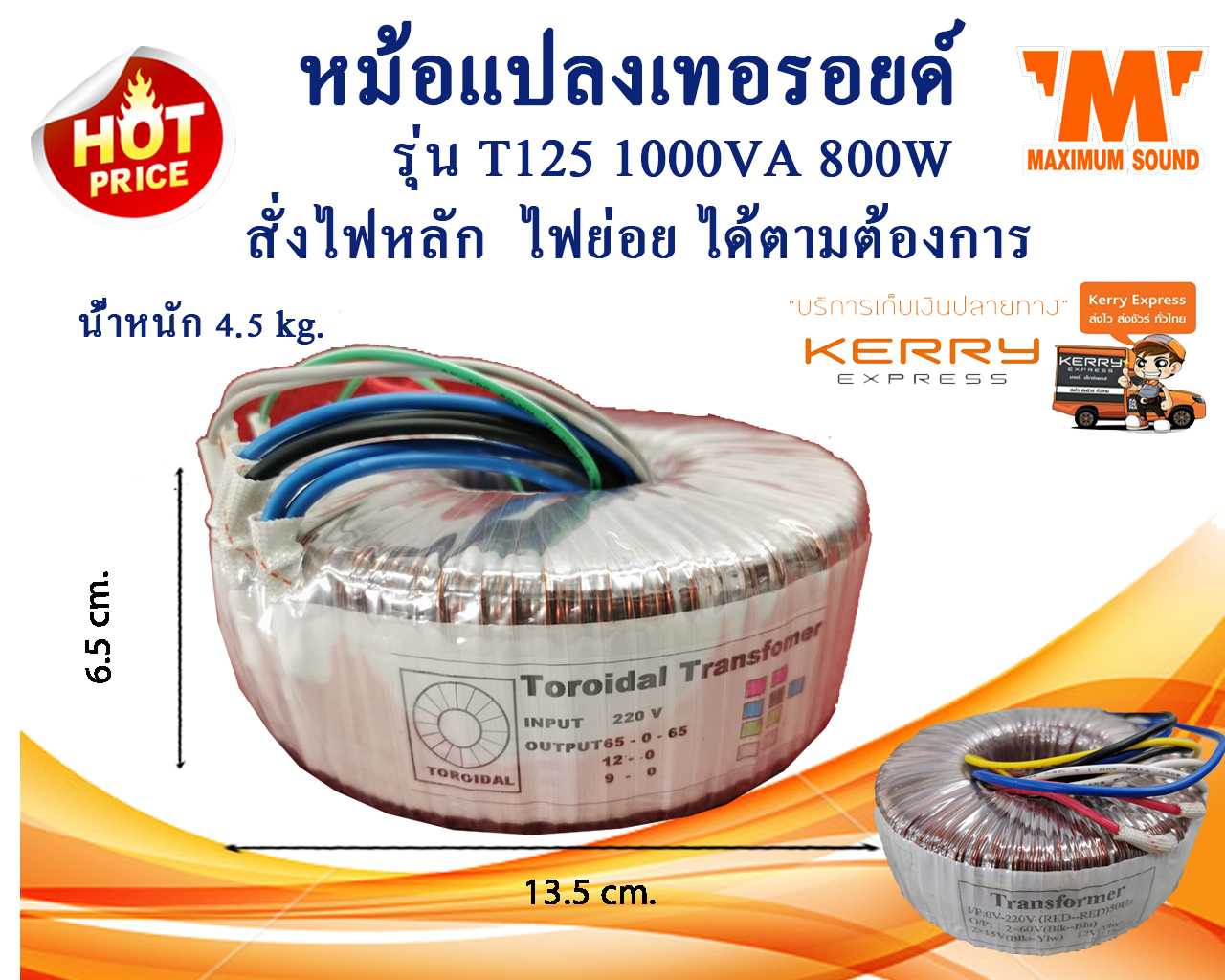 หม้อแปลงเทอรอยด์ รุ่น T125 1000VA 800 W