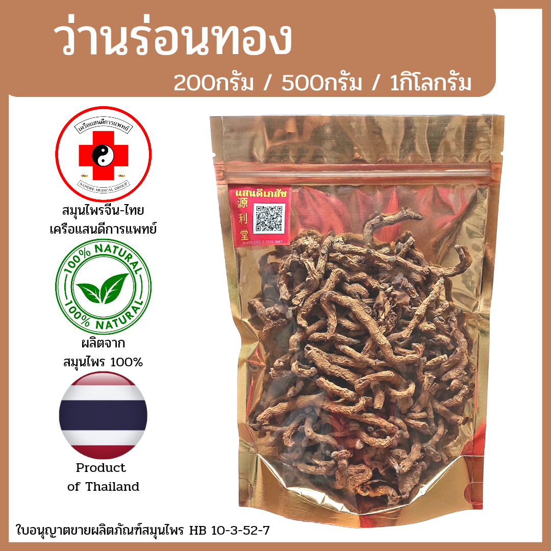 [แสนดีเภสัช] สมุนไพร ว่านร่อนทอง อย่างดี