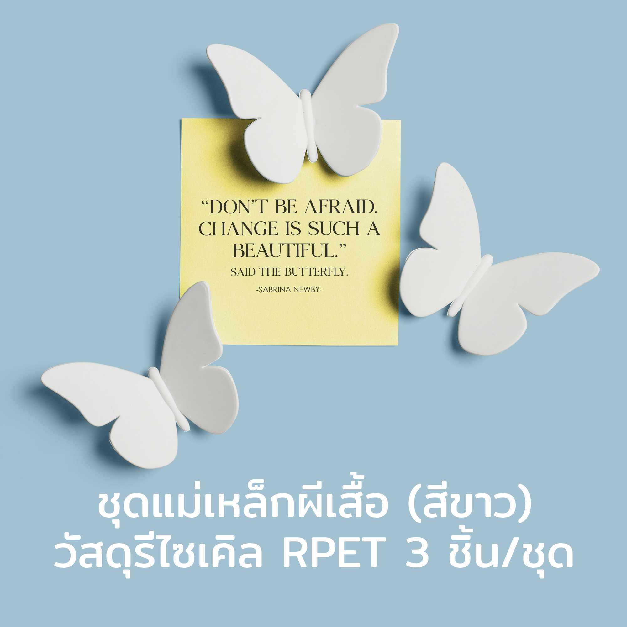 Butterfly Magnet 3pcs/set (White Color) แม่เหล็กติดตู้เย็น ดีไซน์ ผีเสื้อ สีขาว 3 ชิ้น Qualy(ควอลี่)