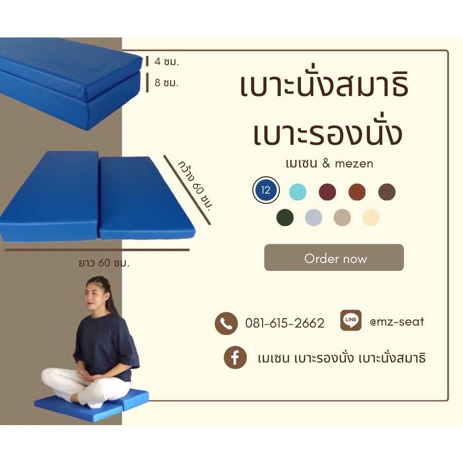 เบาะรองนั่ง 2 ระดับ