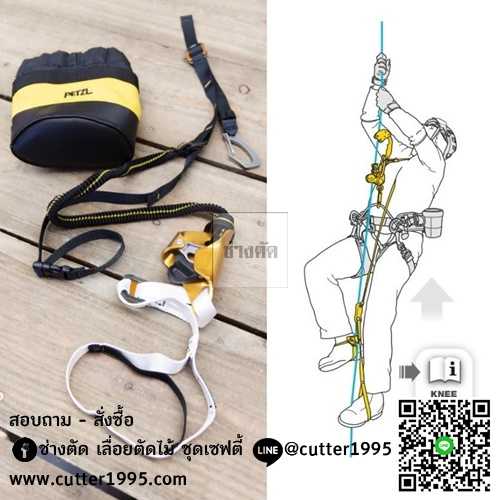 นีแอสเซน ลูป อุปกรณ์ไต่เชือก Petzl KNEE ASCENT LOOP for Tree care