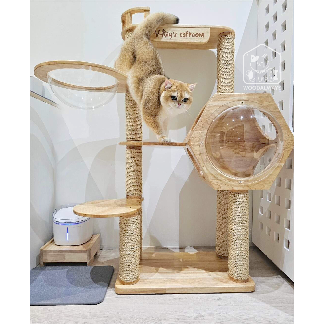 ลูกค้านิยมสั่งซื้อ✨ คอนโดแมว มินิมอล / Catcondo-11