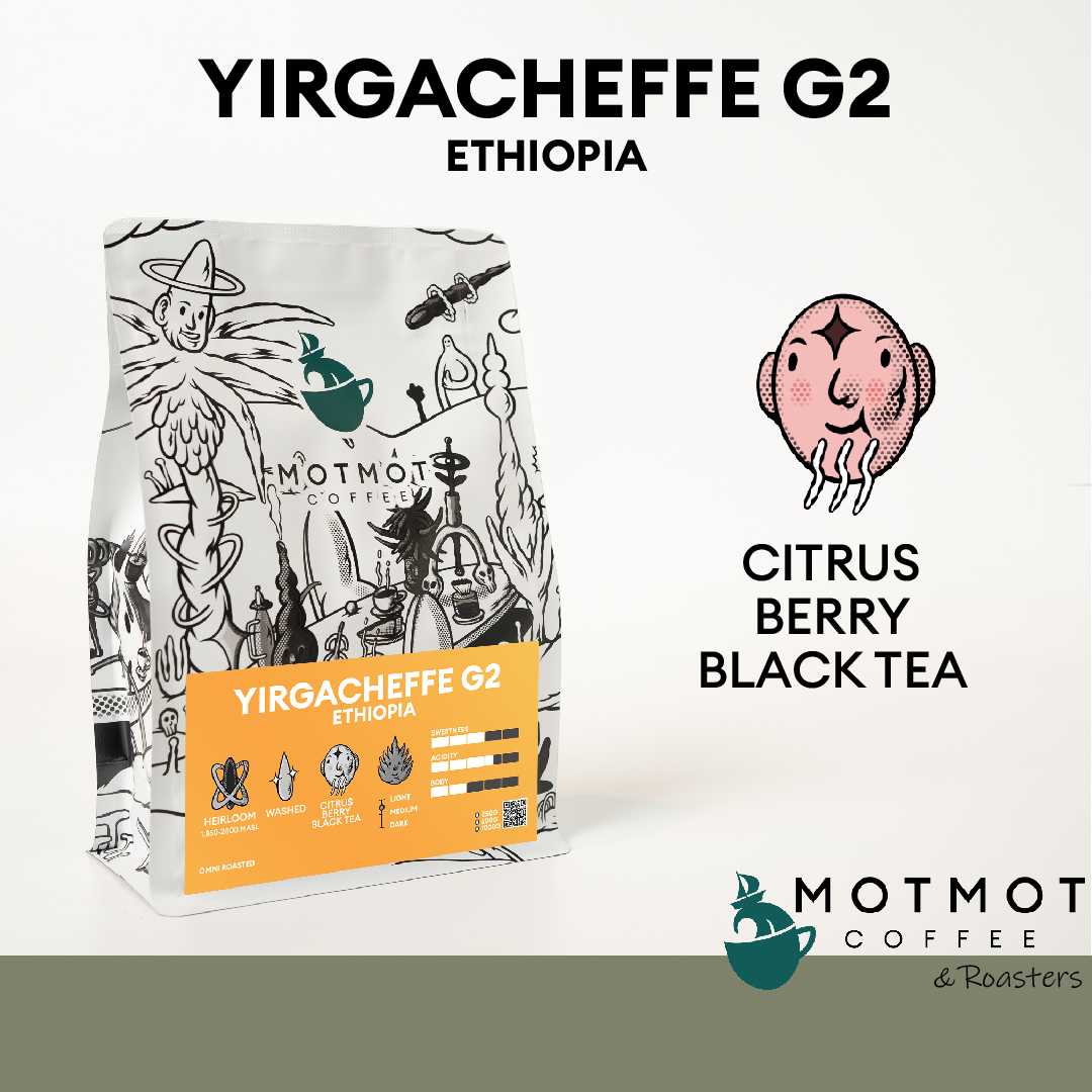 Ethiopia Yirgacheffe G2 (Washed) | Omni Roasted