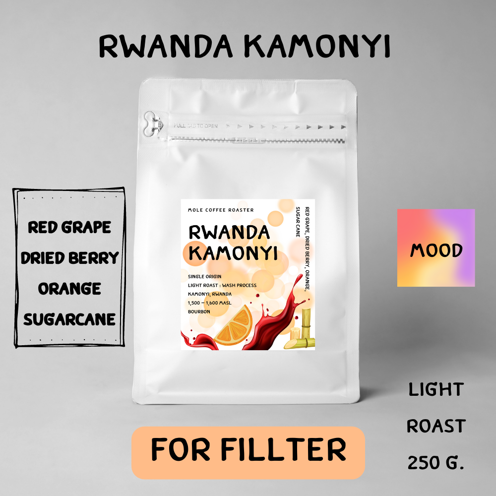 เมล็ดกาแฟคั่ว Rwanda Kamonyi สำหรับดริป ส่งไว คั่วใหม่ 250 กรัม Mole Coffee Roaster