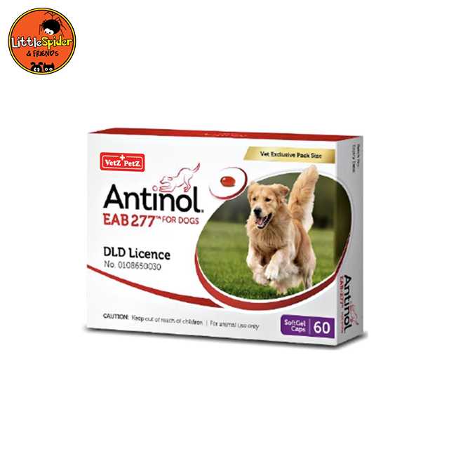 ANTINOL 60 CAPSULE วิตามินบำรุงข้อและลดอักเสบ