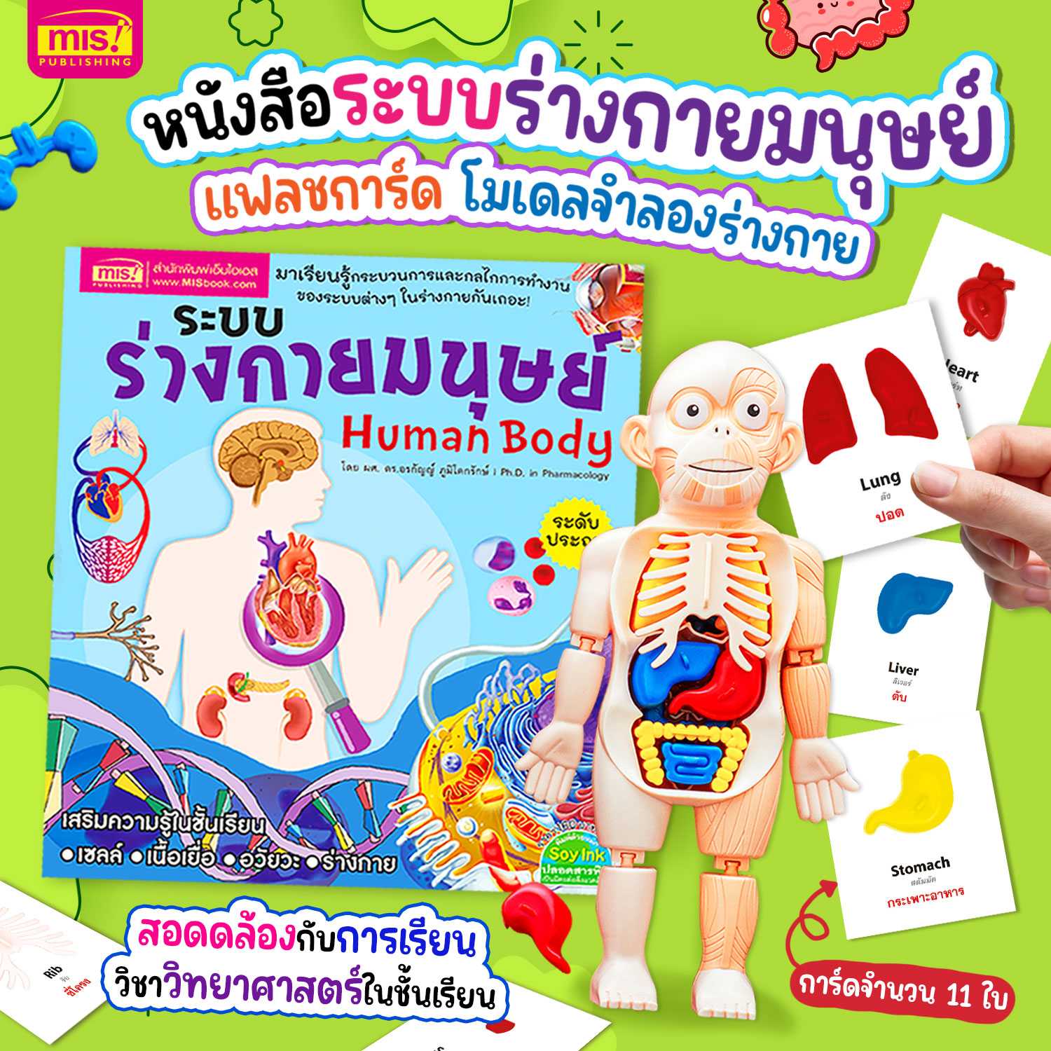 หนังสือระบบร่างกายมนุษย์ ระดับประถม แถมพร้อมโมเดลร่างกายมนุษย์ Human Body และการ์ด