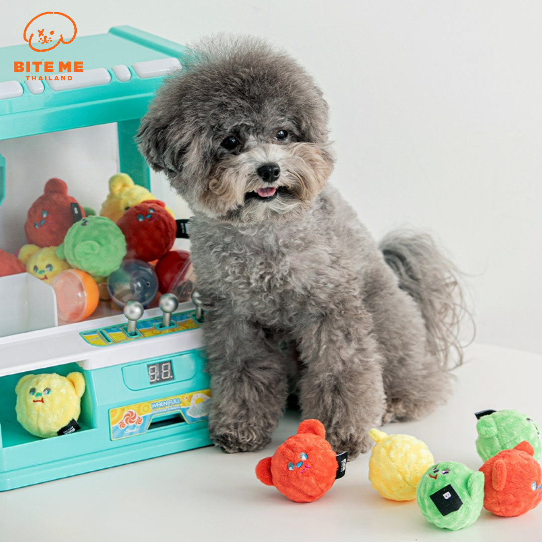 Bite Me Bear Candy Ball Toy (3pcs) ของเล่นสำหรับสุนัข นำเข้าจากประเทศเกาหลี 🇰🇷