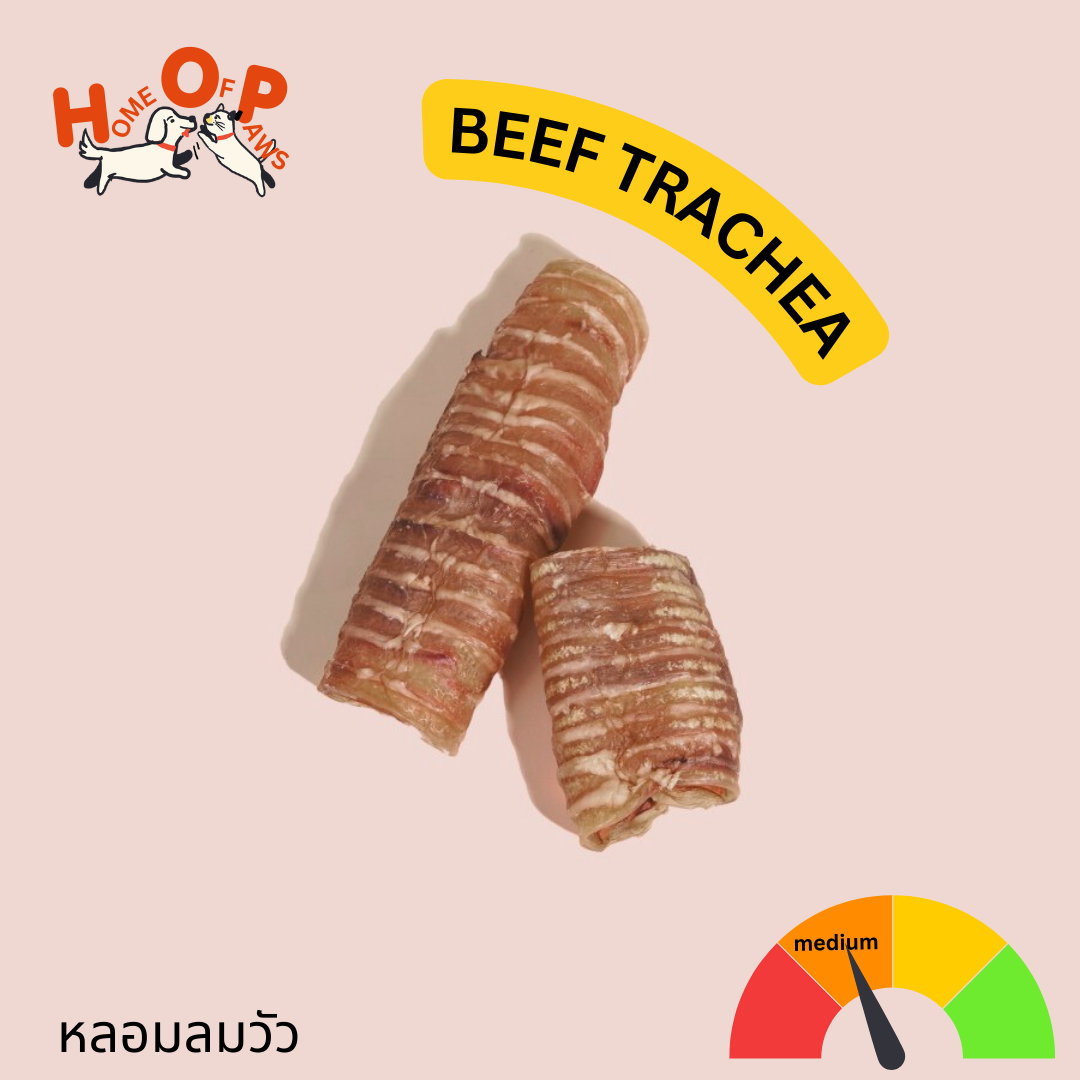 BEEF TRACHEA - หลอดลมวัวอบแห้ง
