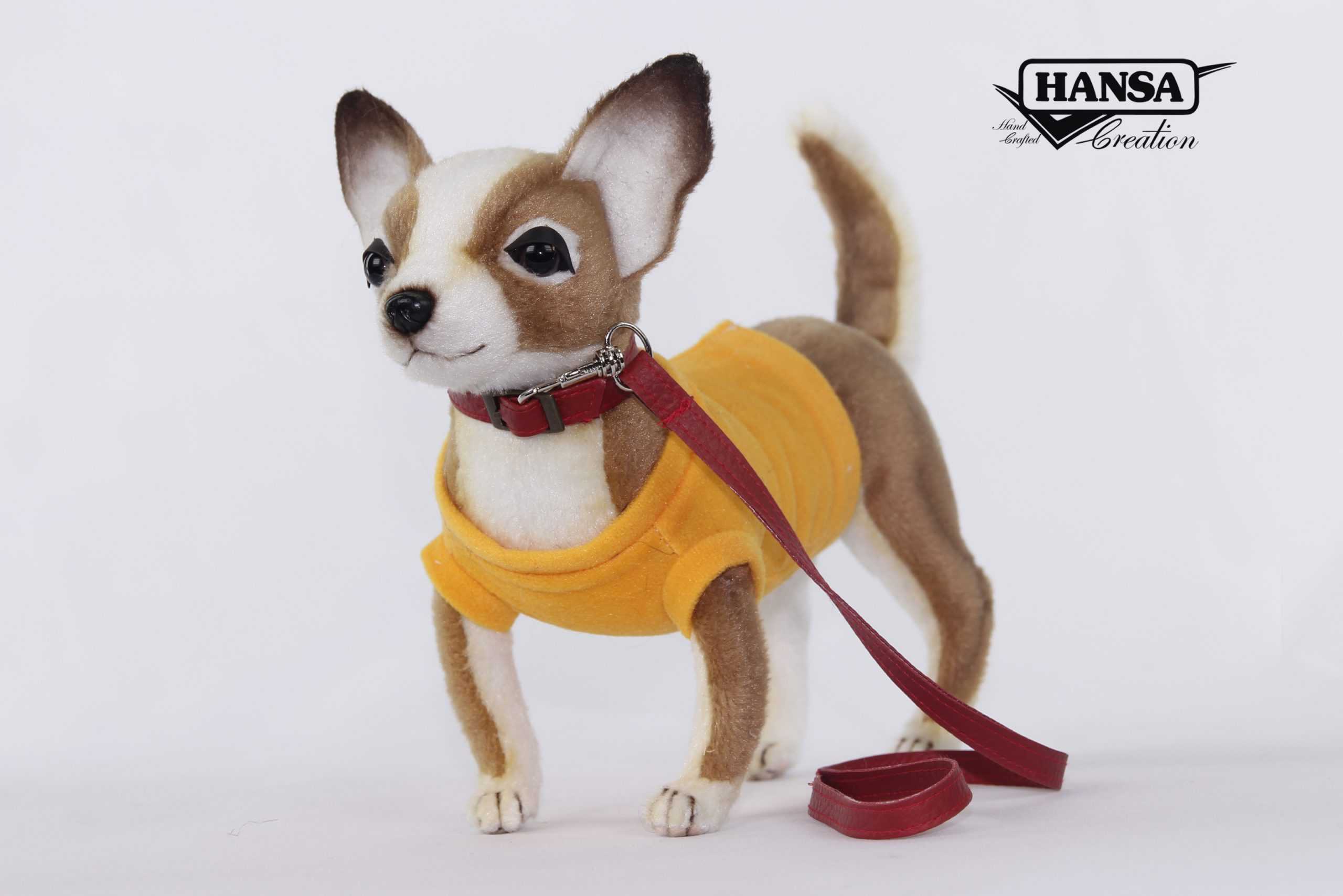 CHIHUAHUA 24CM L