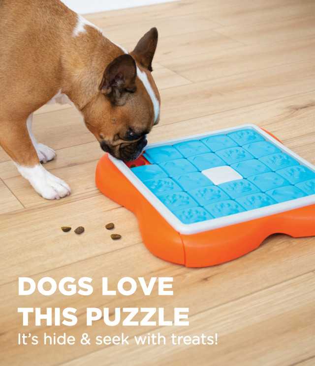 ของเล่นฝึกดมของสุนัข Level 3 Challenge Slider Interactive Treat Puzzle Dog Toy ฝึกดม