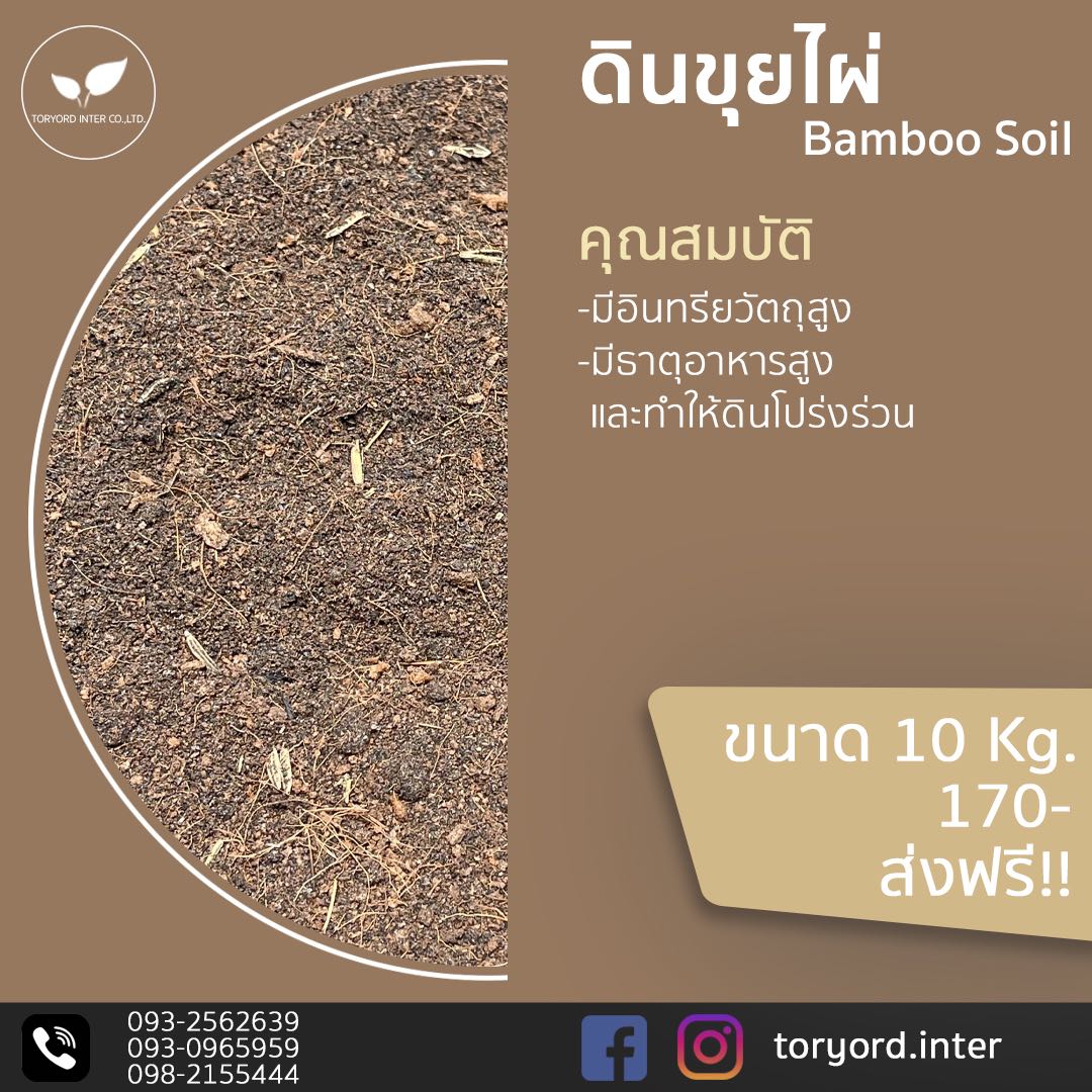 ดินขุยไผ่