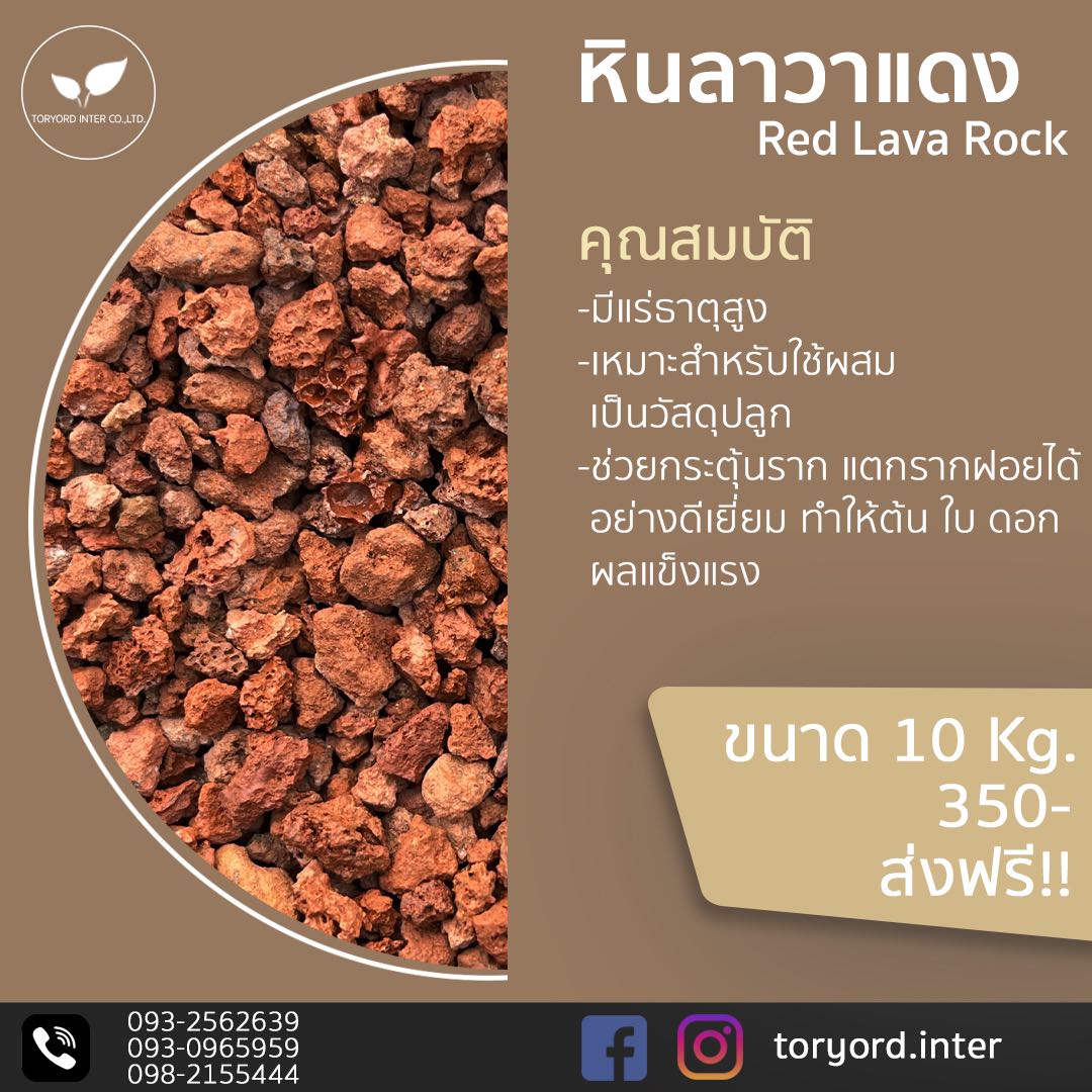 หินลาวาแดง
