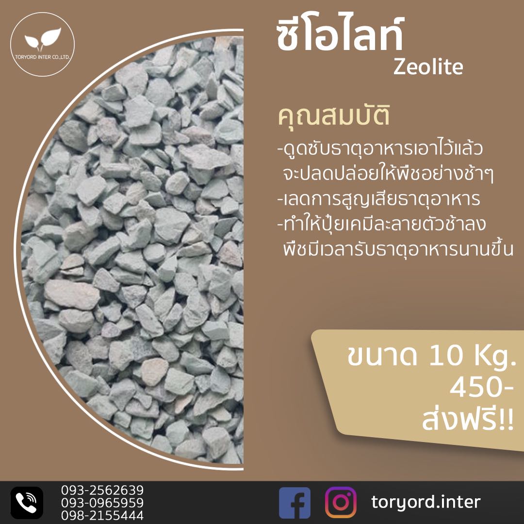 ซีโอไลท์