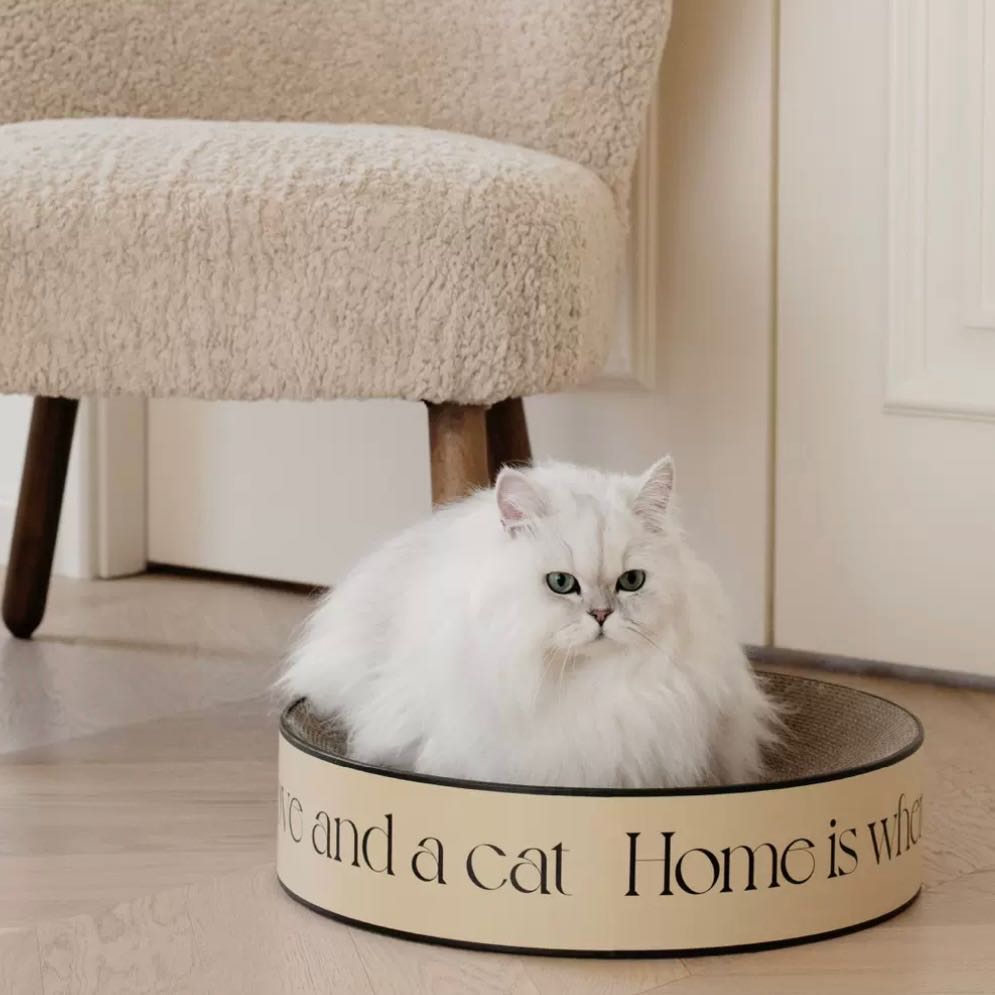 แผ่นฝนเล็บแมว Cat scratching pad 🐈 [pre-order]