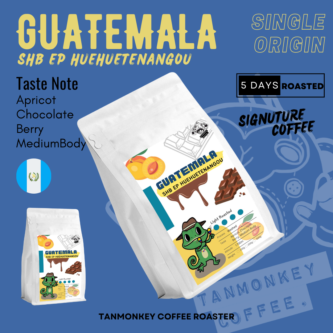 Guatemala SHB EP Huehuetenango Washed Process