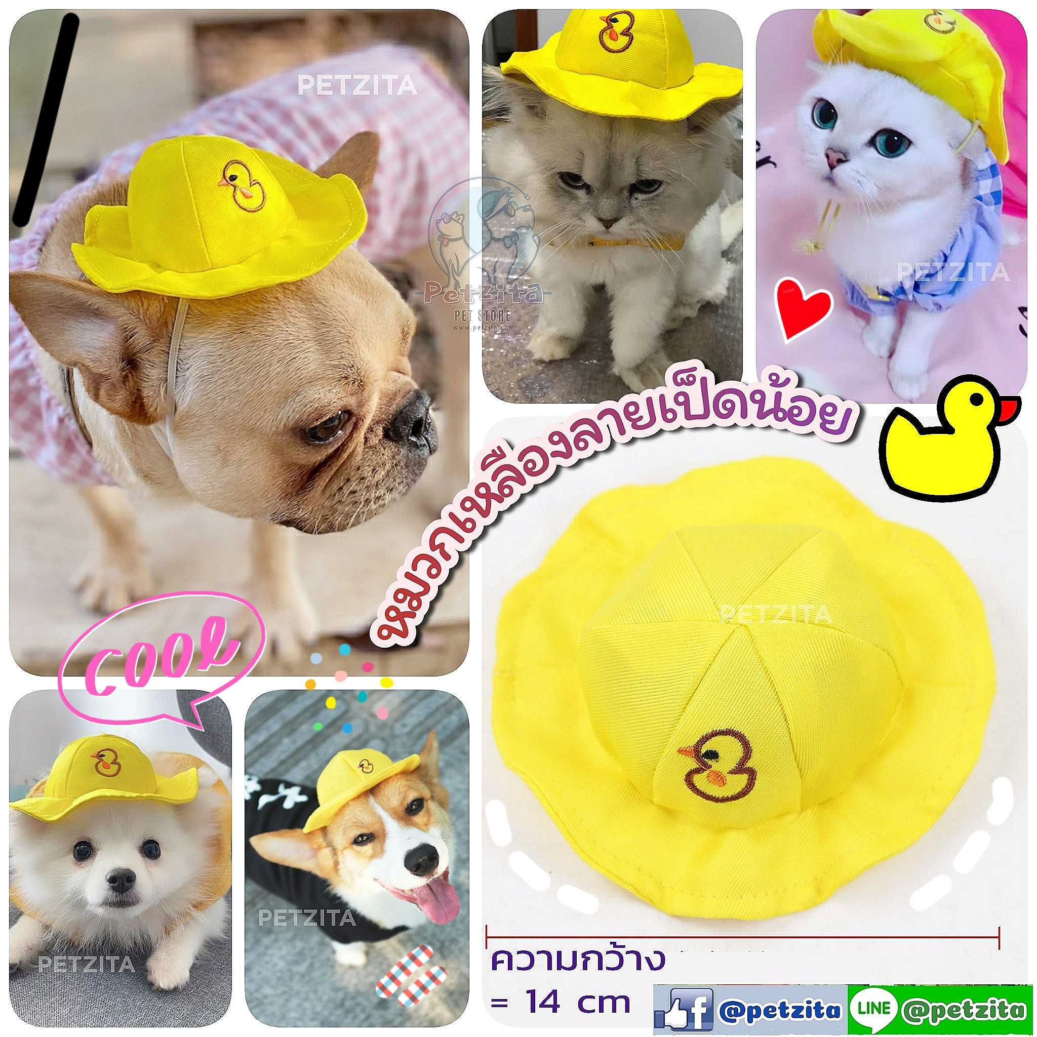 🇹🇭พร้อมส่ง🇹🇭 🐤 หมวกเหลืองลายเป็ดน้อย for pet หมวกสุนัข หมวกหมา หมวกแมว
