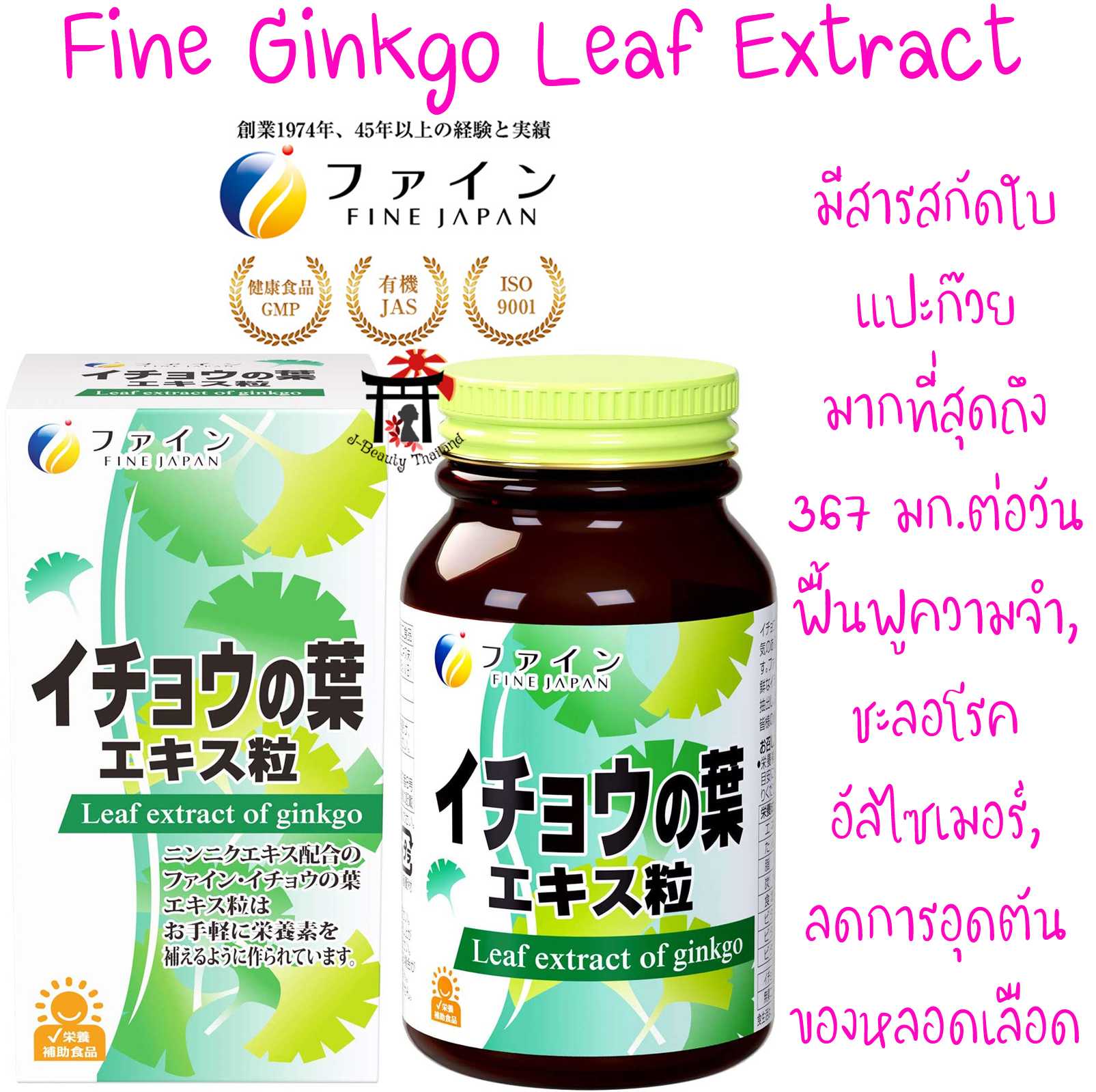กิงโกะ Fine Ginkgo Leaf Extract มีสารสกัดใบแปะก๊วย 367มก. ต่อวัน (5เม็ด) มากที่สุด ของแท้100%