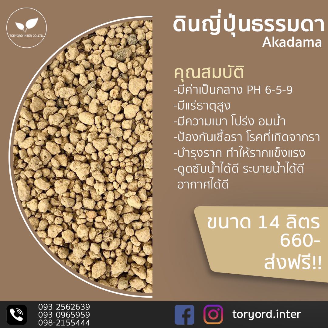 ดินญี่ปุ่นธรรมดา