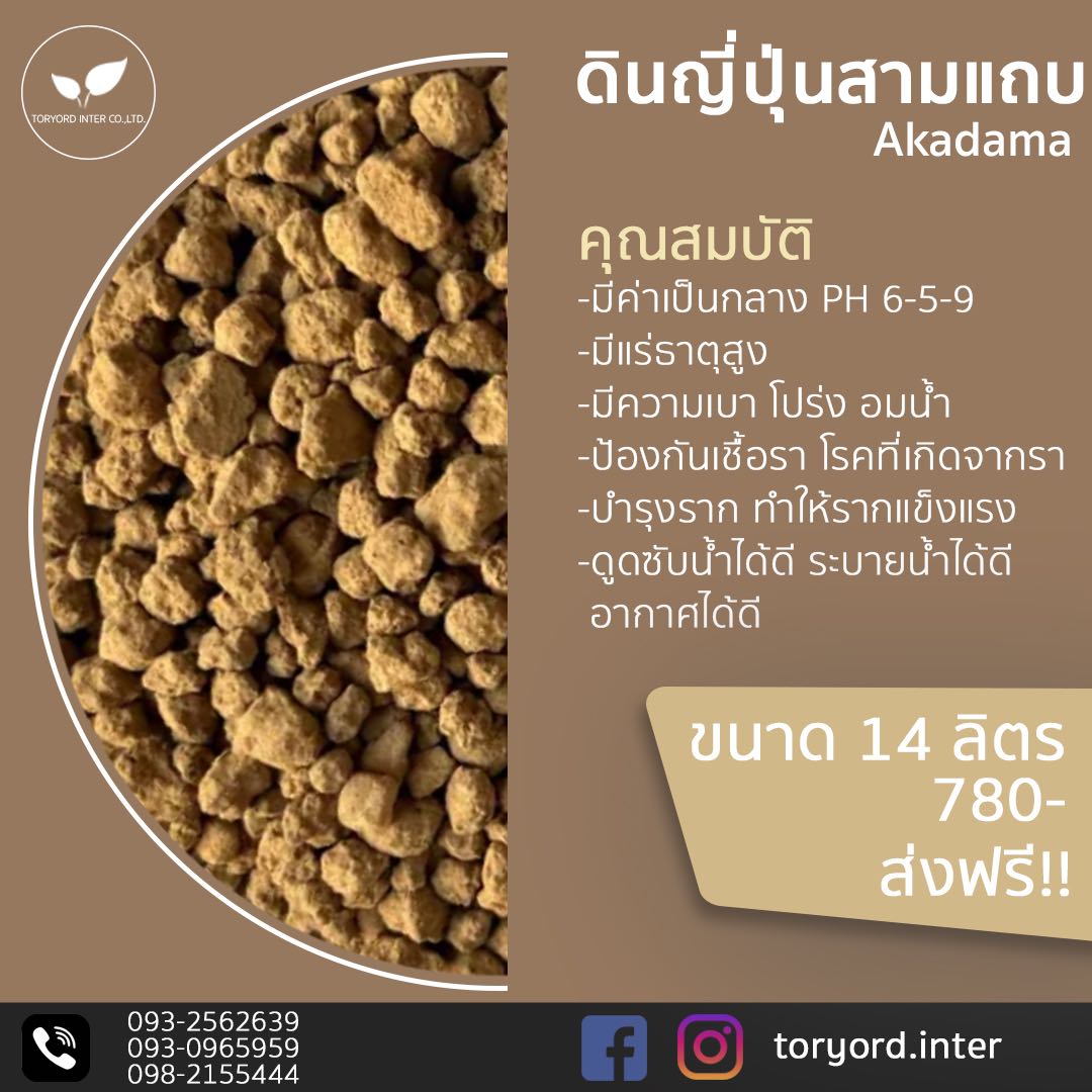 ดินญี่ปุ่นสามแถบ