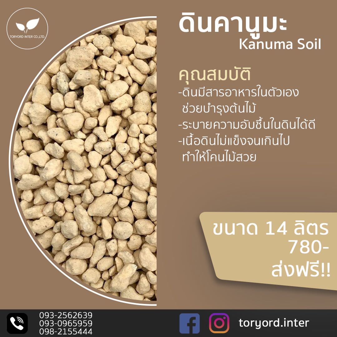 ดินคานูมะ