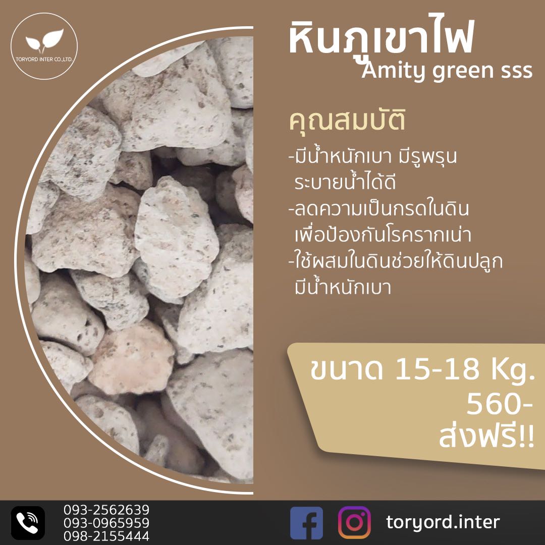 หินภูเขาไฟ amity green sss