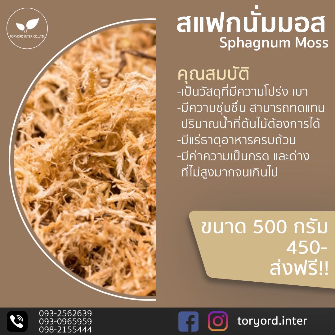 สแฟกนั่มมอส